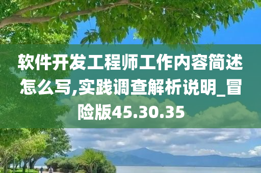 软件开发工程师工作内容简述怎么写,实践调查解析说明_冒险版45.30.35