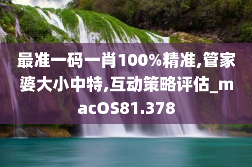 最准一码一肖100%精准,管家婆大小中特,互动策略评估_macOS81.378