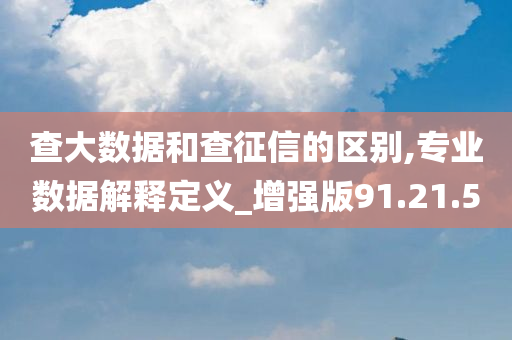 查大数据和查征信的区别,专业数据解释定义_增强版91.21.50