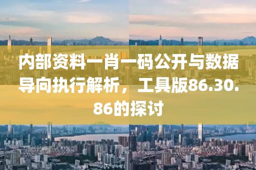 内部资料一肖一码公开与数据导向执行解析，工具版86.30.86的探讨