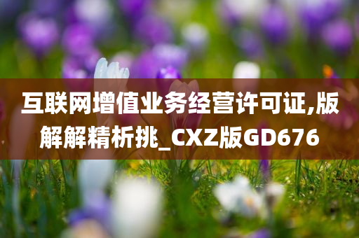 互联网增值业务经营许可证,版解解精析挑_CXZ版GD676