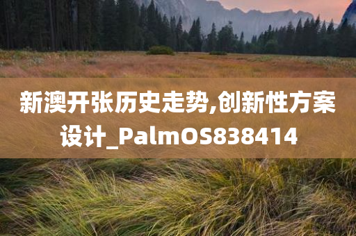 新澳开张历史走势,创新性方案设计_PalmOS838414