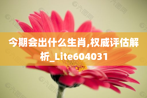 今期会出什么生肖,权威评估解析_Lite604031