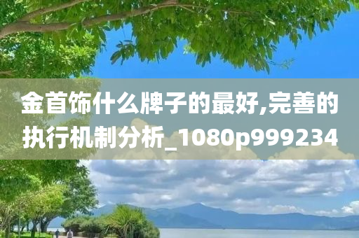 金首饰什么牌子的最好,完善的执行机制分析_1080p999234