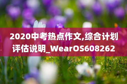 2020中考热点作文,综合计划评估说明_WearOS608262