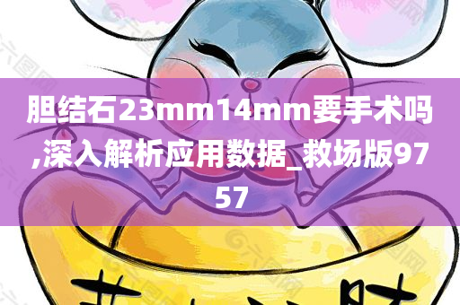 胆结石23mm14mm要手术吗,深入解析应用数据_救场版9757