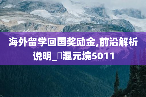 海外留学回国奖励金,前沿解析说明_‌混元境5011