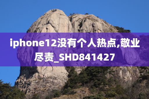 iphone12没有个人热点,敬业尽责_SHD841427