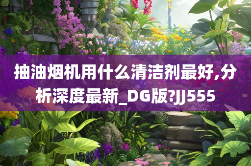 抽油烟机用什么清洁剂最好,分析深度最新_DG版?JJ555