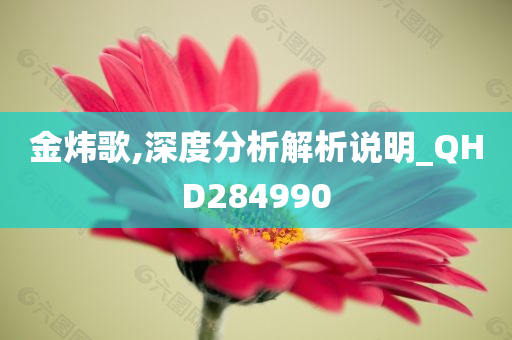 金炜歌,深度分析解析说明_QHD284990