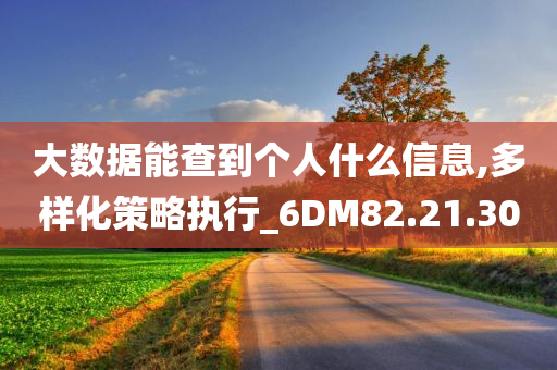 大数据能查到个人什么信息,多样化策略执行_6DM82.21.30