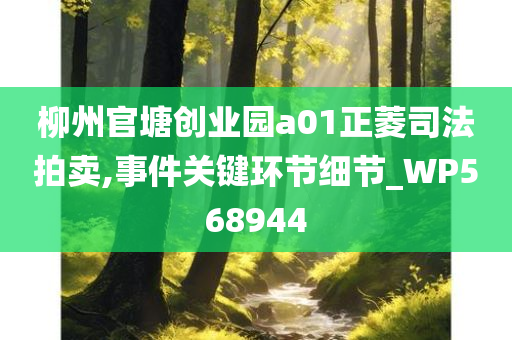 柳州官塘创业园a01正菱司法拍卖,事件关键环节细节_WP568944