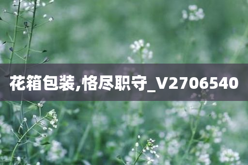 花箱包装,恪尽职守_V2706540