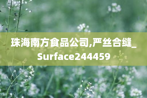 珠海南方食品公司,严丝合缝_Surface244459