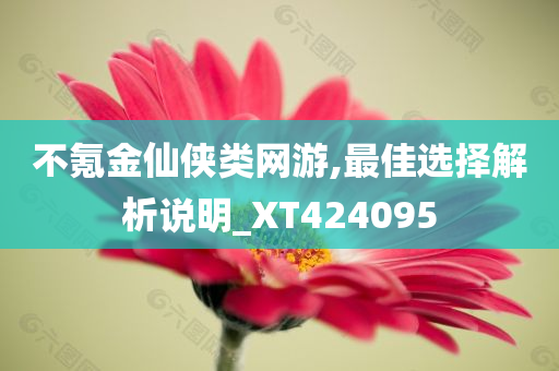 不氪金仙侠类网游,最佳选择解析说明_XT424095