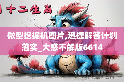 微型挖掘机图片,迅捷解答计划落实_大惑不解版6614