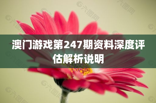 澳门游戏第247期资料深度评估解析说明