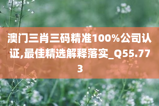 澳门三肖三码精准100%公司认证,最佳精选解释落实_Q55.773