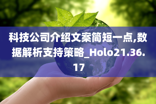 科技公司介绍文案简短一点,数据解析支持策略_Holo21.36.17