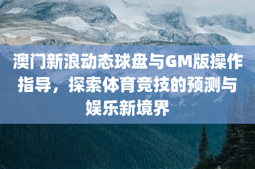 澳门新浪动态球盘与GM版操作指导，探索体育竞技的预测与娱乐新境界