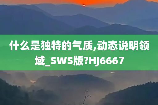 什么是独特的气质,动态说明领域_SWS版?HJ6667