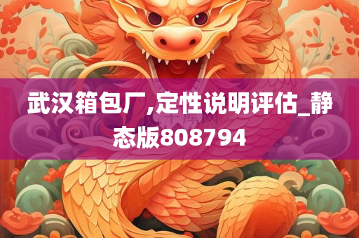 武汉箱包厂,定性说明评估_静态版808794