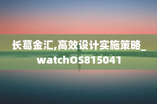 长葛金汇,高效设计实施策略_watchOS815041