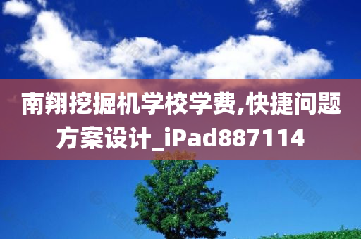 南翔挖掘机学校学费,快捷问题方案设计_iPad887114