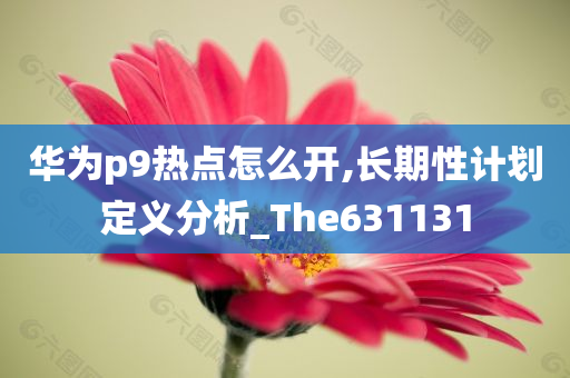 华为p9热点怎么开,长期性计划定义分析_The631131