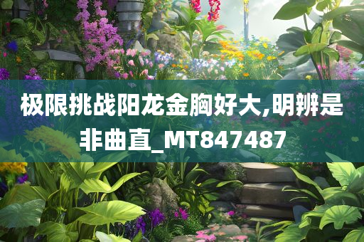 极限挑战阳龙金胸好大,明辨是非曲直_MT847487