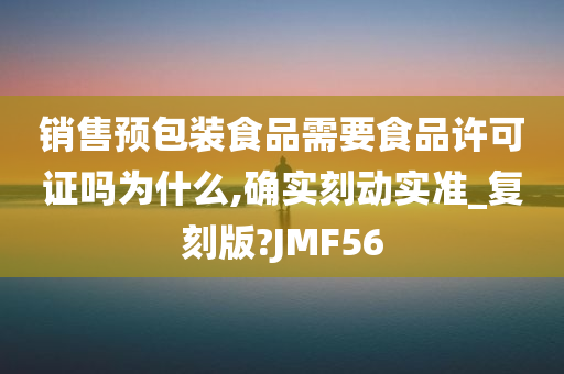 销售预包装食品需要食品许可证吗为什么,确实刻动实准_复刻版?JMF56