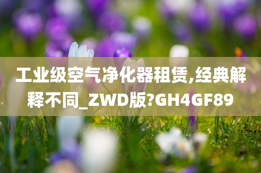 工业级空气净化器租赁,经典解释不同_ZWD版?GH4GF89