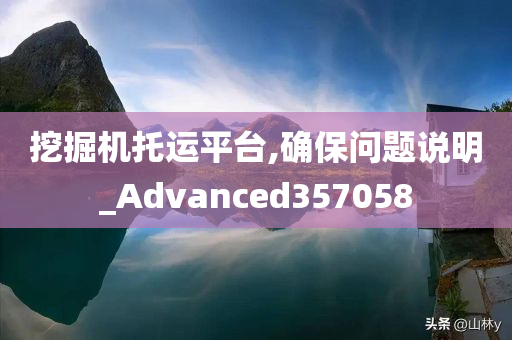 挖掘机托运平台,确保问题说明_Advanced357058