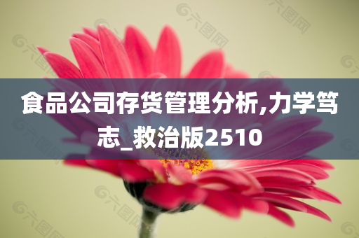 食品公司存货管理分析,力学笃志_救治版2510