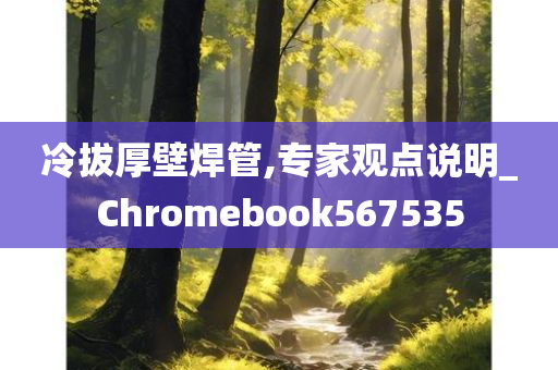 冷拔厚壁焊管,专家观点说明_Chromebook567535