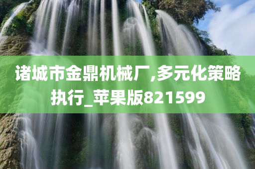 诸城市金鼎机械厂,多元化策略执行_苹果版821599