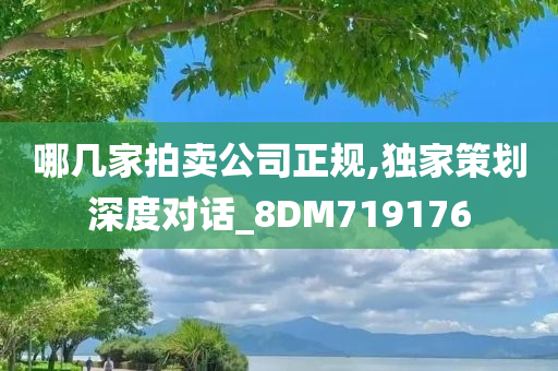 哪几家拍卖公司正规,独家策划深度对话_8DM719176