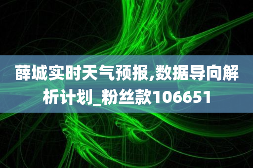 薛城实时天气预报,数据导向解析计划_粉丝款106651