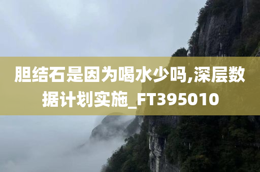 胆结石是因为喝水少吗,深层数据计划实施_FT395010