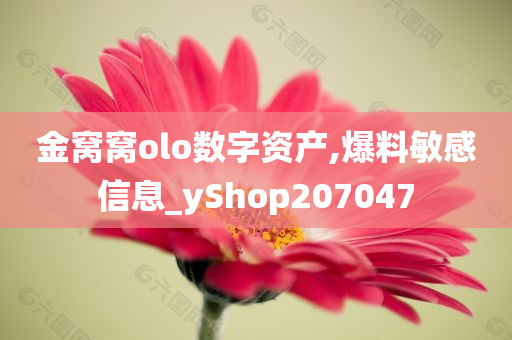 金窝窝olo数字资产,爆料敏感信息_yShop207047