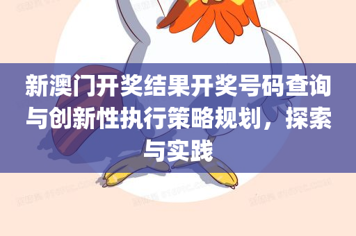 新澳门开奖结果开奖号码查询与创新性执行策略规划，探索与实践