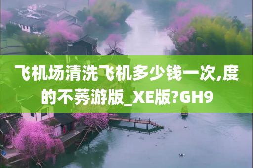 飞机场清洗飞机多少钱一次,度的不莠游版_XE版?GH9