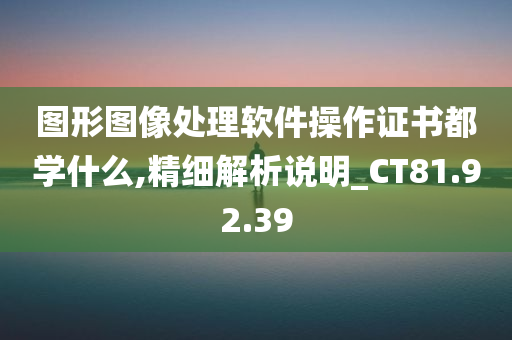 图形图像处理软件操作证书都学什么,精细解析说明_CT81.92.39