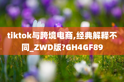 tiktok与跨境电商,经典解释不同_ZWD版?GH4GF89