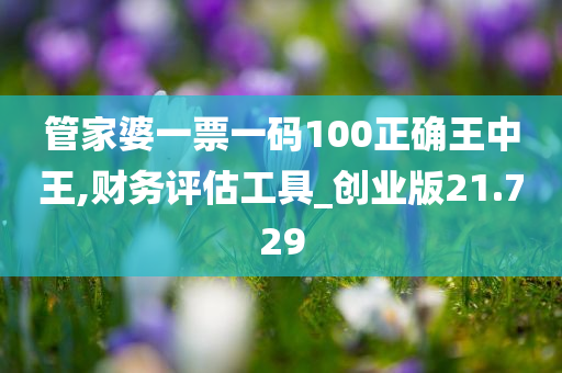 管家婆一票一码100正确王中王,财务评估工具_创业版21.729