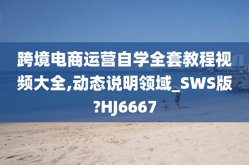 跨境电商运营自学全套教程视频大全,动态说明领域_SWS版?HJ6667