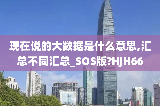 现在说的大数据是什么意思,汇总不同汇总_SOS版?HJH66