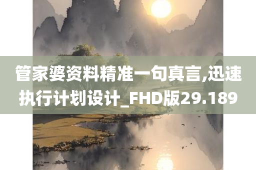 管家婆资料精准一句真言,迅速执行计划设计_FHD版29.189