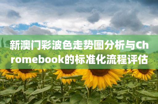 新澳门彩波色走势图分析与Chromebook的标准化流程评估