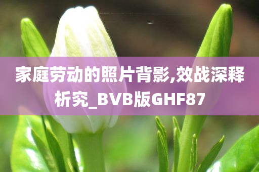 家庭劳动的照片背影,效战深释析究_BVB版GHF87